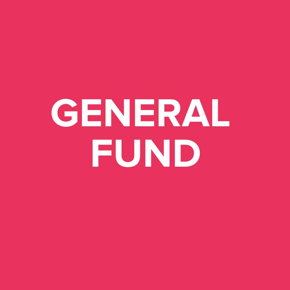 Not everyone can afford to support a whole project. This is why we created this general pot where you can donate any amount that is feasible for you. At the end of the campaign, we will redirect the funding that has been gathered through this pot and will allocate it to one of our Year End Campaign projects.